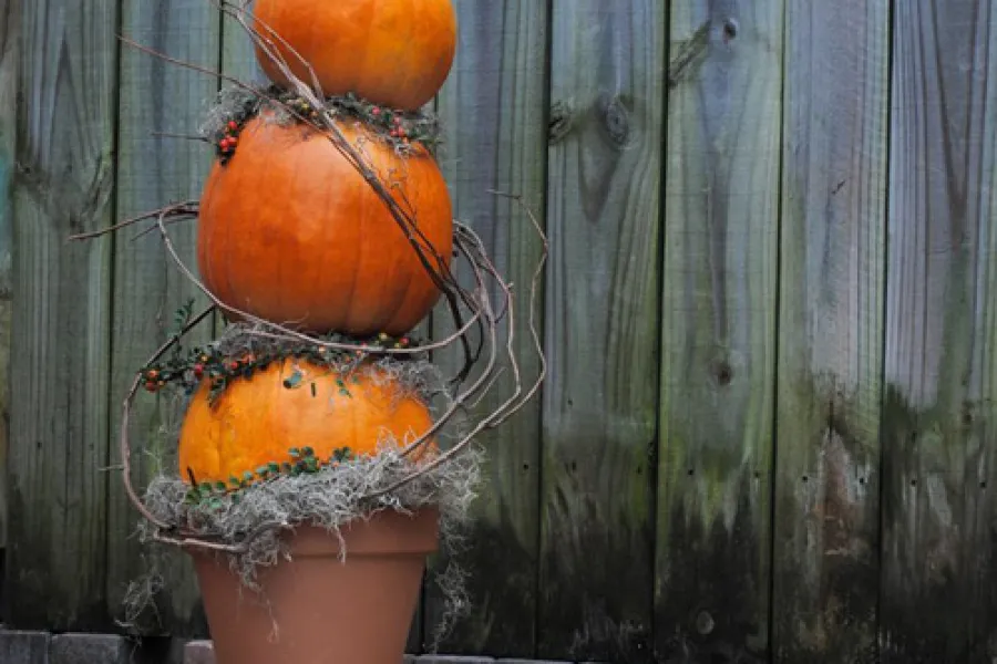 pumpkin topiary