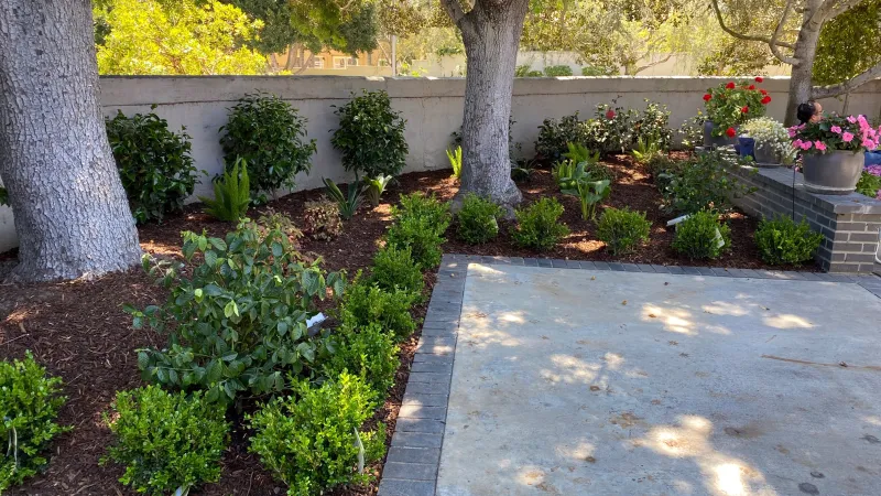 a small garden with a stone path