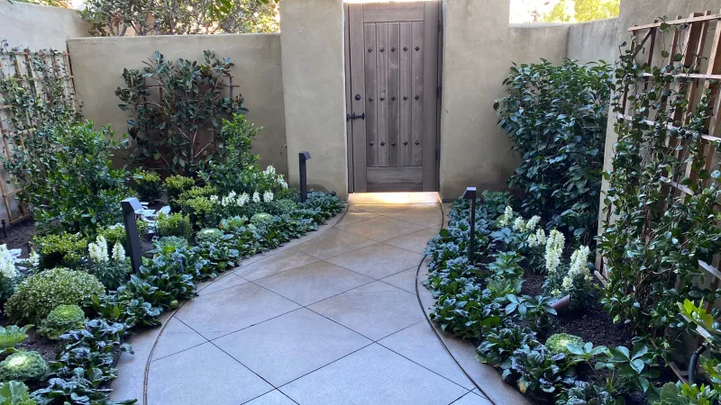 Beautiful secluded and private entryway featuring ajuga bordering the path