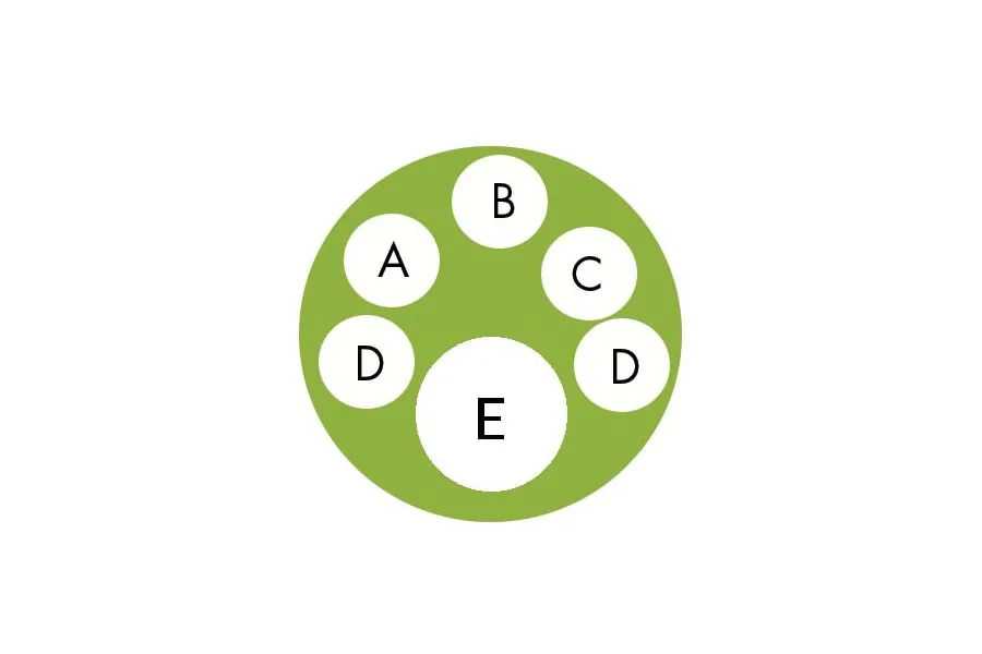 Planting Diagram for English Garden Basket container garden