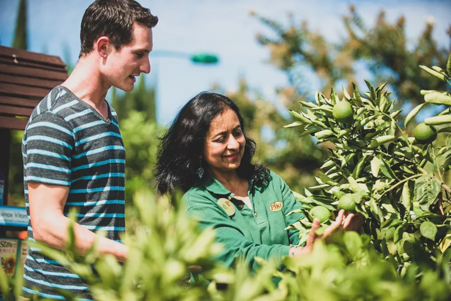 a man standing in front of a tree