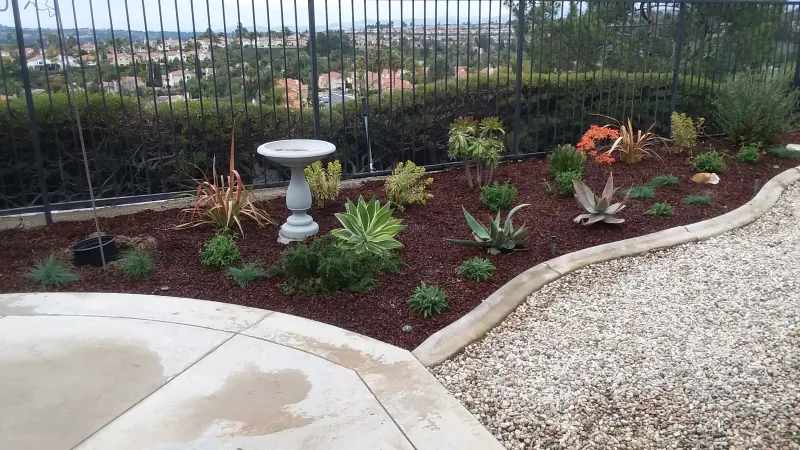 Garden bird bath with a view