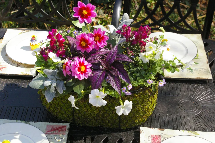 A Baskets of blooming flowers including pink dahlias and white petunias