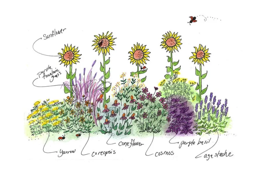 garden design ladybugs and pollinators like butterflies and hummingbirds