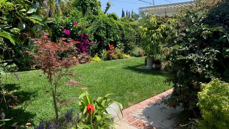 A lush garden space with a lawn area for pets and children