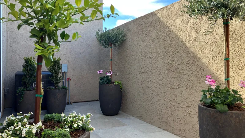 Potted patio trees beautify this patio space.
