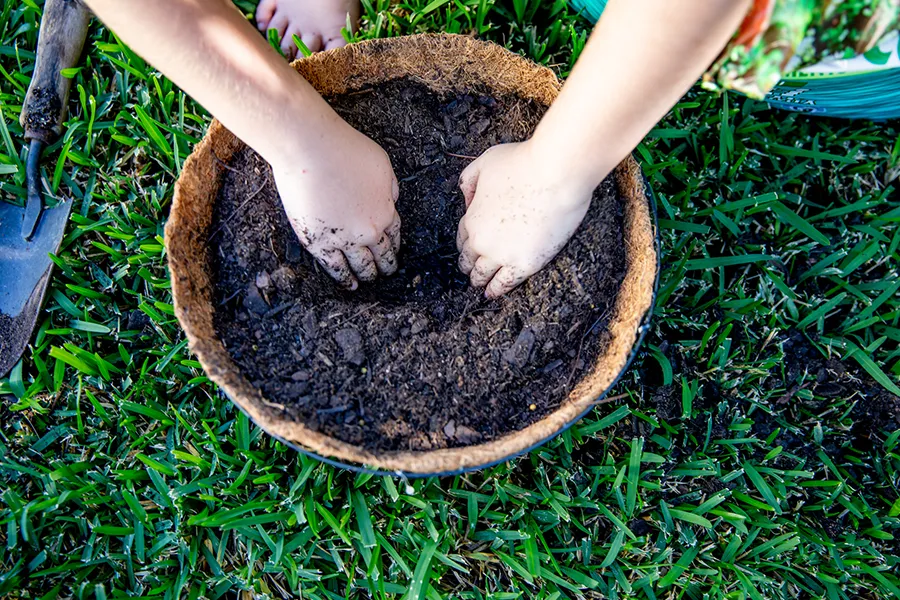 hand in soil digging hole