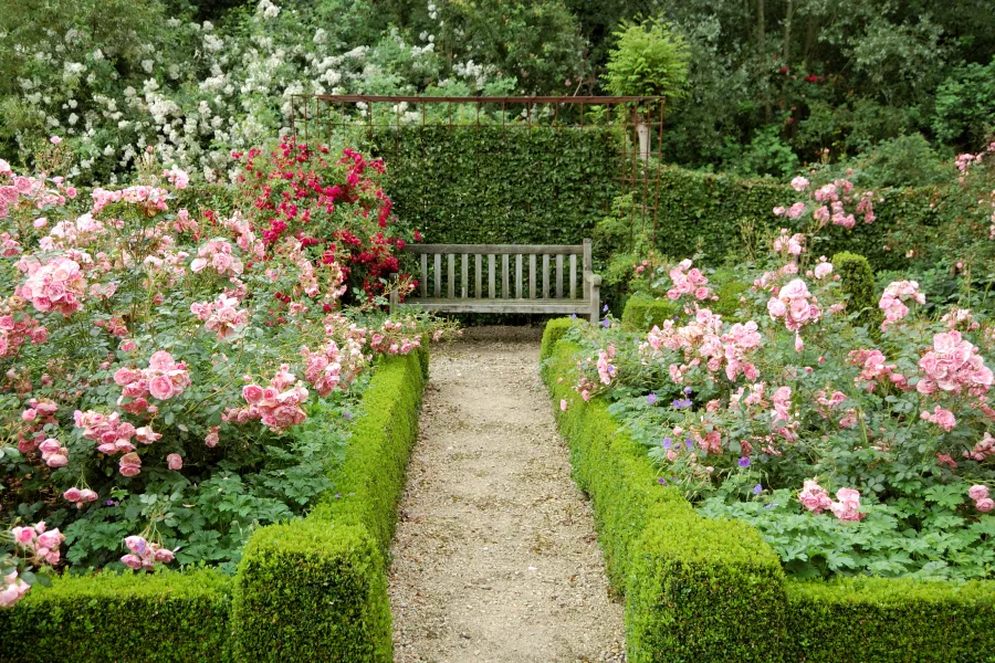a bench in a garden