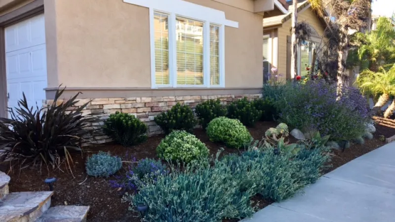 Front landscape design by Karen Paliska