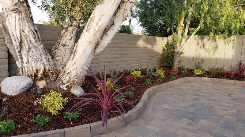 Colorful back patio border
