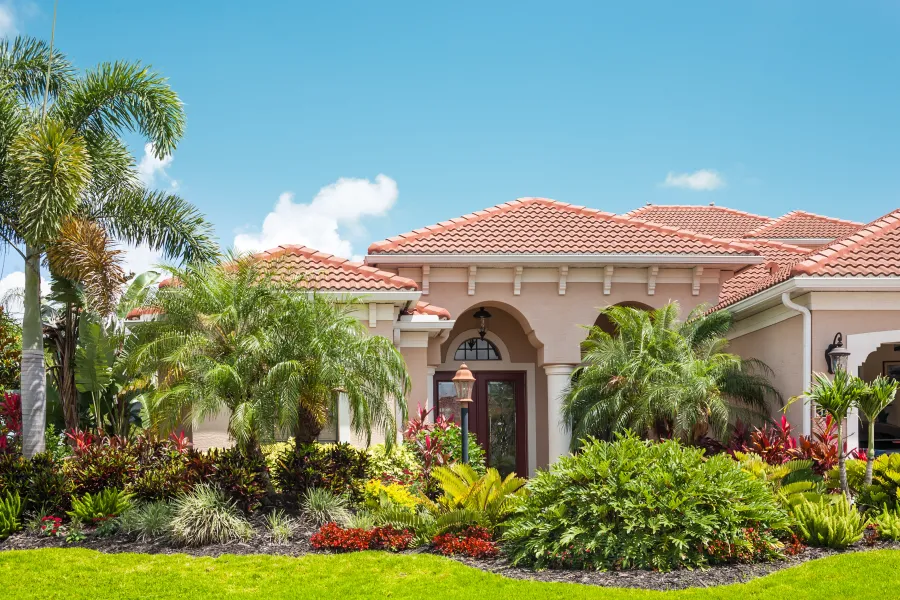 tropical garden landscape