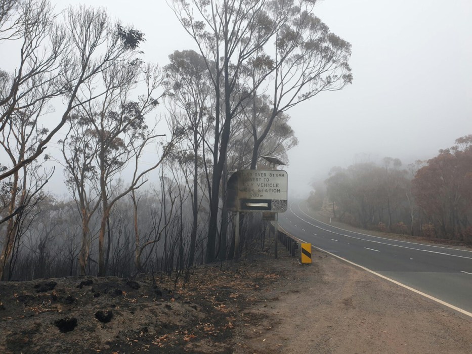 Climate Resilience - Banner