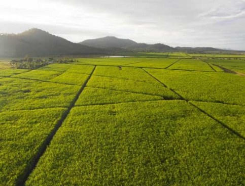 Sowing the Seeds of Farming Innovation Fund