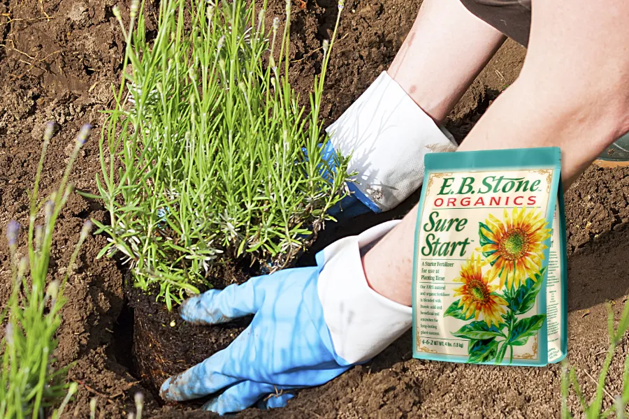 a person's feet in the dirt next to a book